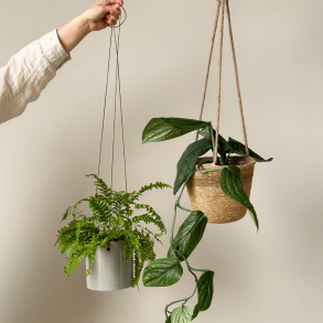 Hanging plant pots