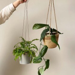 Hnge urtepotte, Grey.