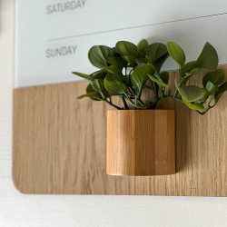 Magnetbox, Bambus, super starker Magnet