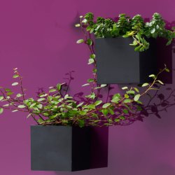 Magnetisk Boks, Sort, Super Strk Magnetisk