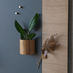 Magnetbox, Bambus, super starker Magnet