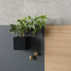 Punktmagnet aus Eiche, super starker Magnet