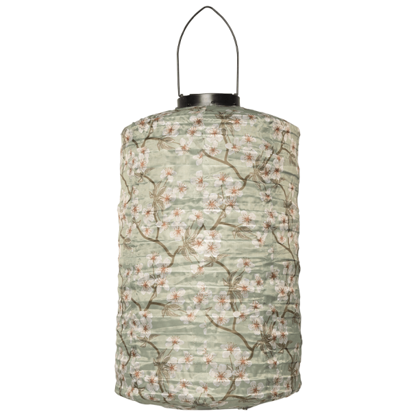 Solcelle lanterne, cylinder, grøn med forårsgrene